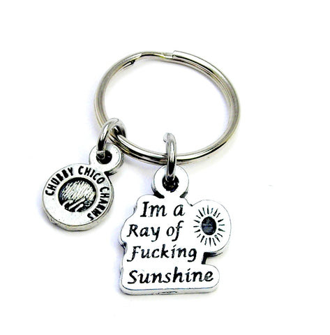 I'm a ray of fucking sunshine Key Chain