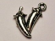 Hot Peppers Genuine American Pewter Charm