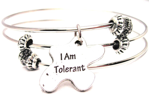 I Am Tolerant Triple Style Expandable Bangle Bracelet