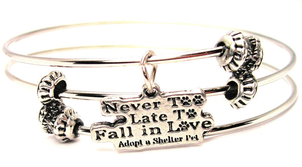 Never Too Late Too Fall In Love Adopt A Shelter Pet Triple Style Expandable Bangle Bracelet