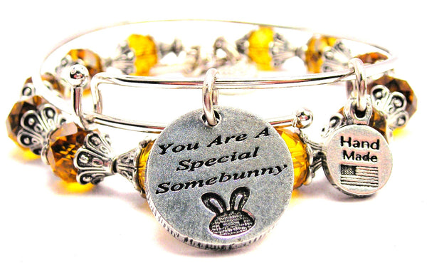 You Are A Special Somebunny 2 Piece Collection