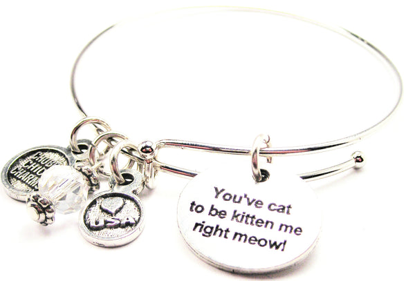 You've Cat To Be Kitten Me Right Meow Expandable Bangle Bracelet