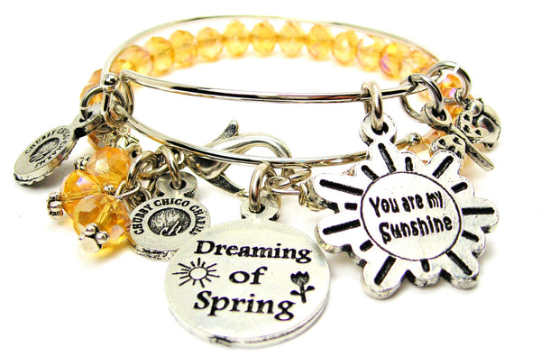 You Are My Sunshine Dreaming Of Spring Lady Bug Dragonfly Expandable Bangle Bracelet Set