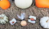 Pumpkin Spice Hand Made Soap Lotion Bath Bomb Gift Set