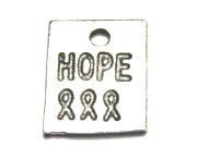 Hope With Awareness Ribbons Genuine American Pewter Charm