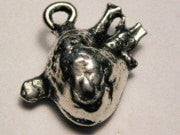 Human Heart Genuine American Pewter Charm