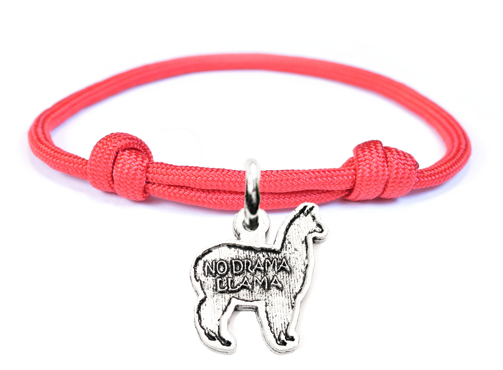 Llama 2025 friendship bracelet