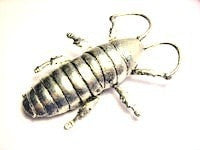 Madagascar Hissing Roach Pendant Genuine American Pewter Charm